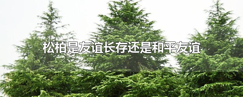 ɰ곤滹Ǻƽ