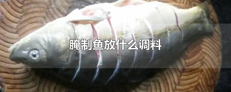 ʲô