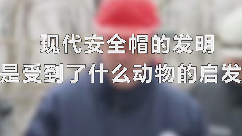 ִȫñķܵʲô