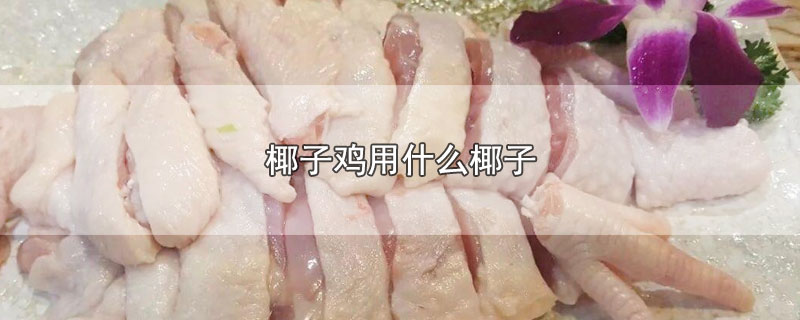 ҬӼʲôҬ