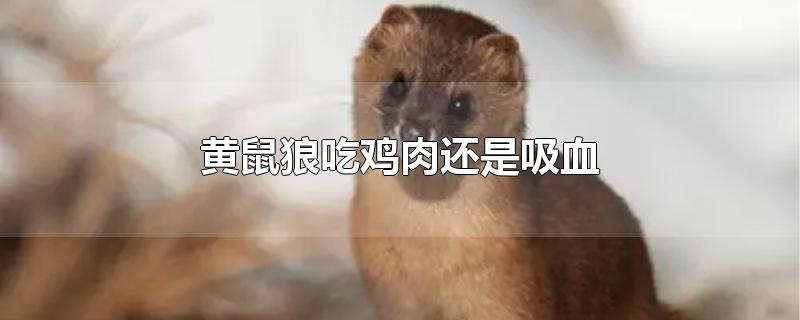 ǳԼ⻹Ѫ