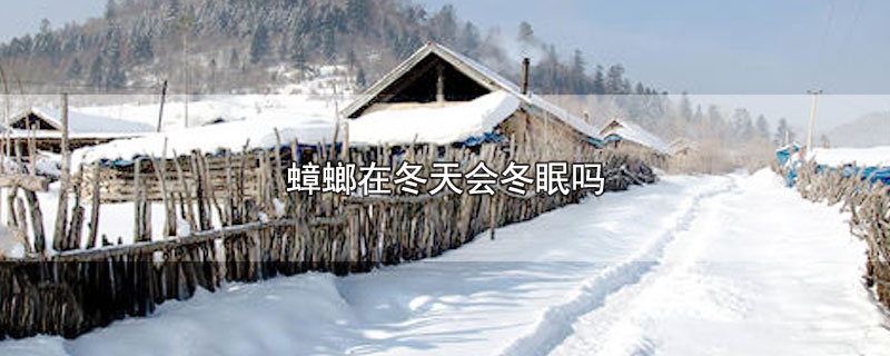 ڶᶬ