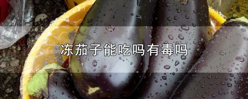 ܳж