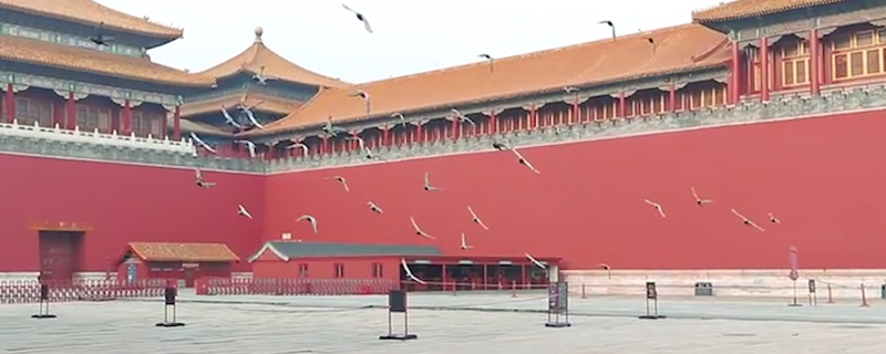 ʹĸ