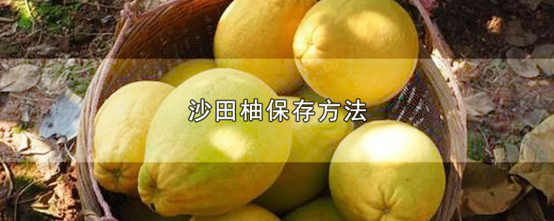 ɳֱ淽
