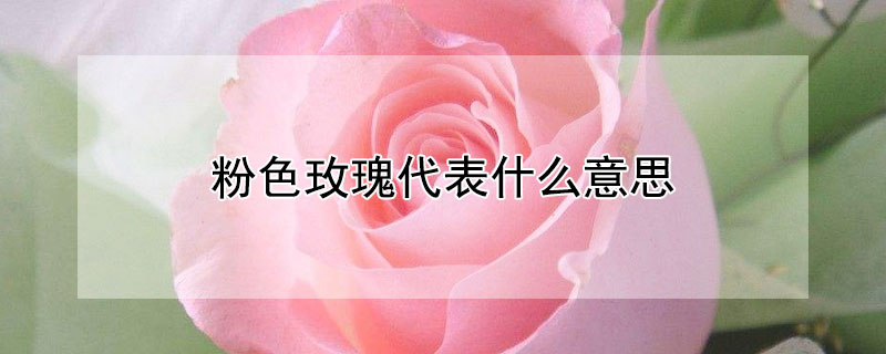 ɫõʲô˼ʺ͸ʲôˣ