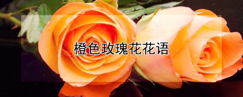 ɫõ廨ɫõ廨ЩԢ⣩