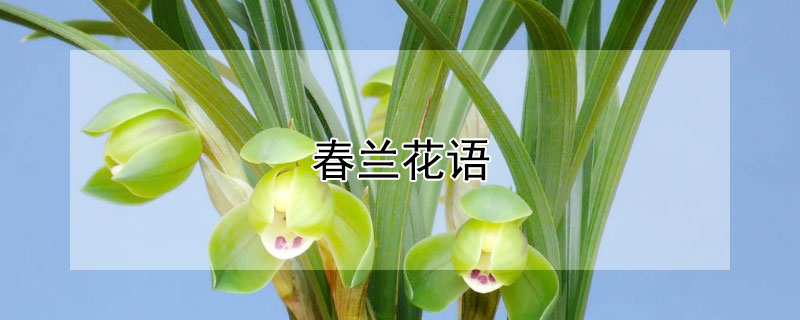 ĻԢ⣩