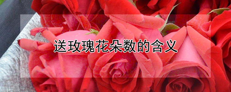 õ廨ĺ壨õ廨Ԣ⣩