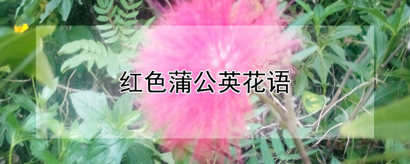 ɫѹӢĻɫѹӢԢ⣩