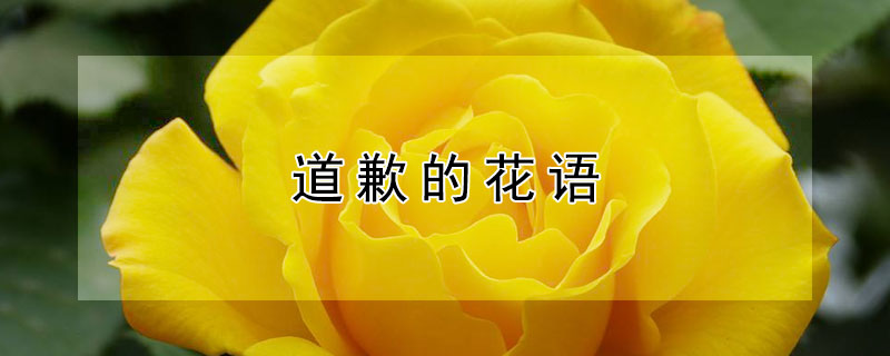 ǸĻʲôĻǵǸ