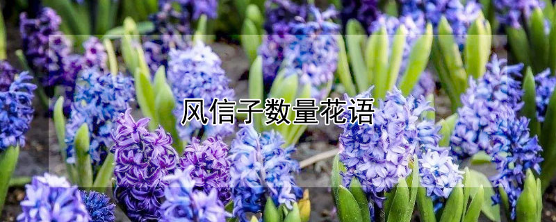 ͬķӵԢ⣩