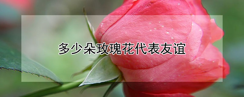 ٶõ廨꣨õ廨