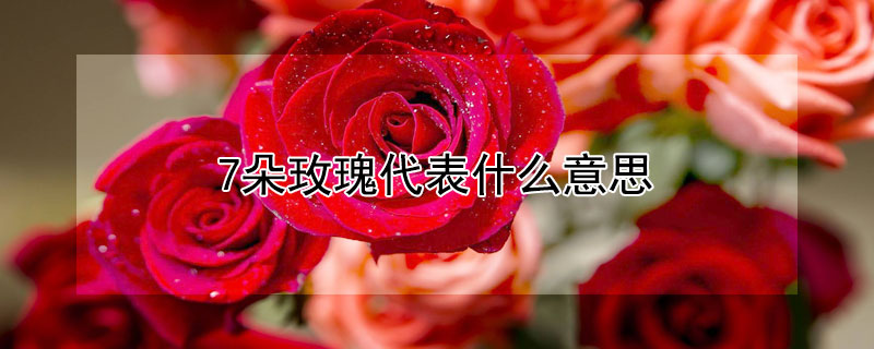 7õʲô˼7õԢ⣩