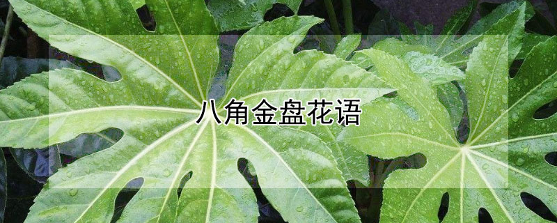 ˽ǽ̻˽ǽ̵Ԣ⣩