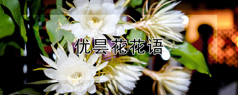 꼻Ļ꼻Ԣ⣩