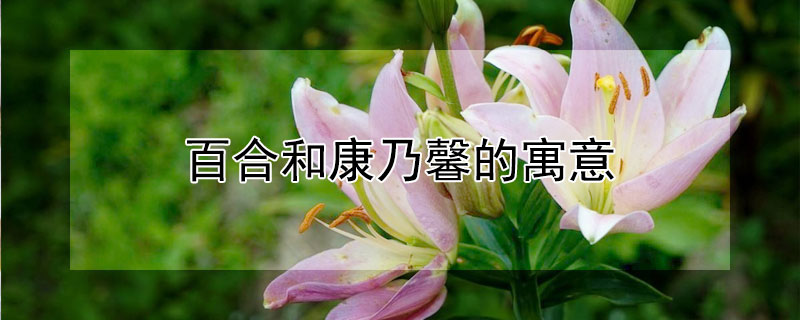 ٺϺͿܰԢ⣨ٺ뿵ܰʲô壩