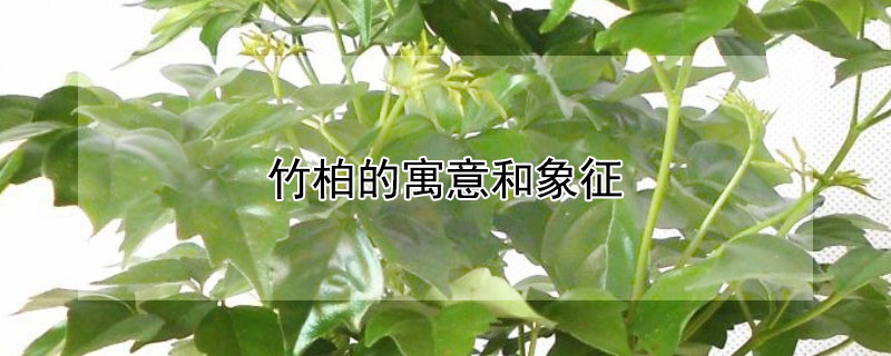 صԢЩ壩