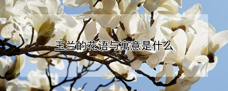 ĻԢʲô