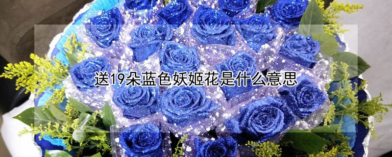 19ɫʲô˼19ɫԢ
