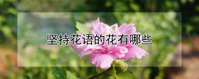 ֻĻЩʲôĻǼ֣