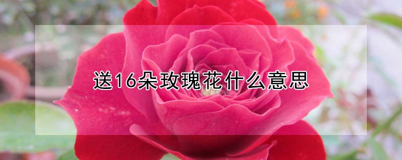 16õ廨ʲô˼16õ廨ĺ壩