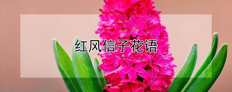 ӻӵԢ⣩