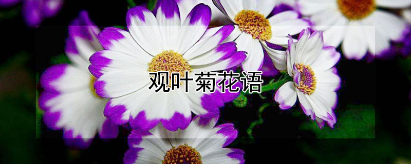 ҶյĻҶյԢ⣩
