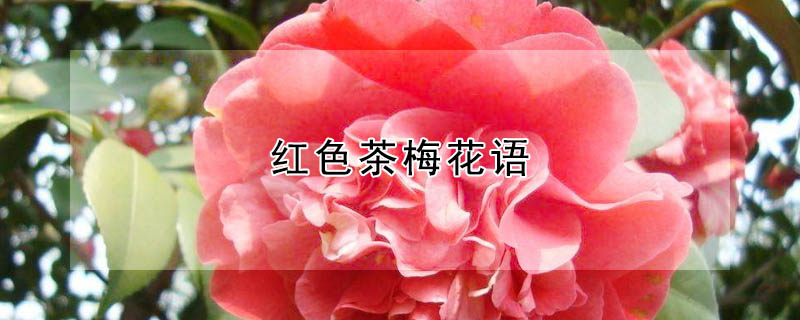 ɫ÷Ļɫ÷ʲôԢ⣿