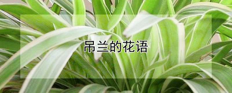 ĻʲôԢ