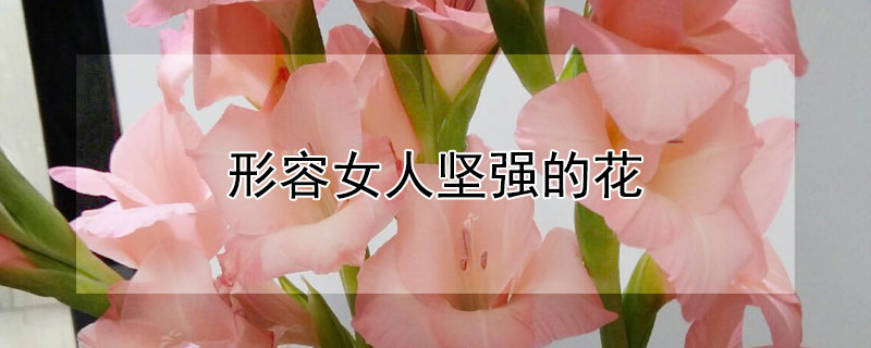 Ů˼ǿĻЩŮ˼ǿ