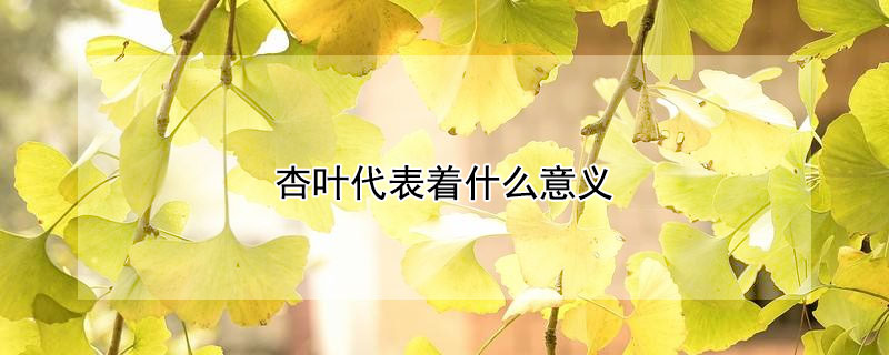 Ҷʲô壨ҶʲôԢ⣩