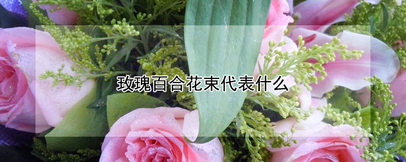 õٺϻʲôõٺϻʲôԢ⣩
