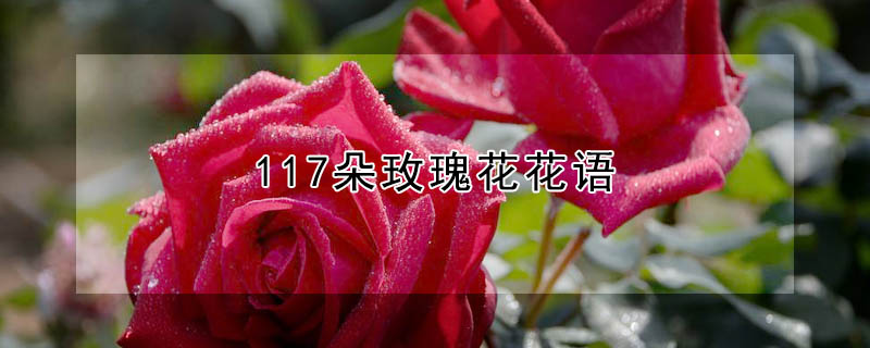 117õ廨117õ廨ʲôԢ