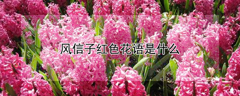 ӺɫʲôɫʲôԢ⣿