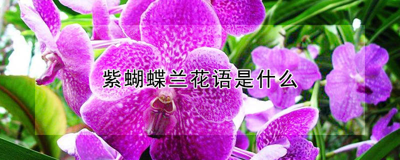 ϺʲôϺԢ⣩