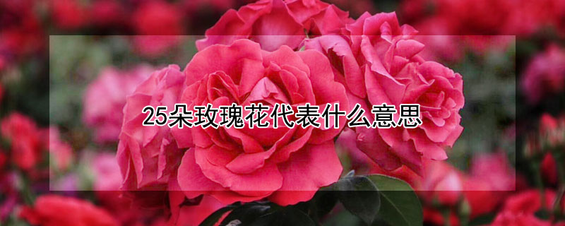 25õ廨ʲô˼25õ廨ʲôԢ⣩
