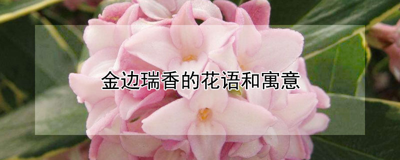 ĻԢ⣨Щ壩