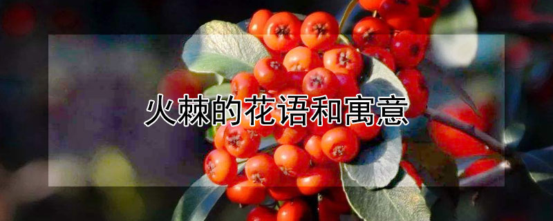 𼬵ĻԢʲô