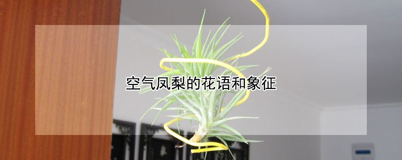 ĻĻʲô