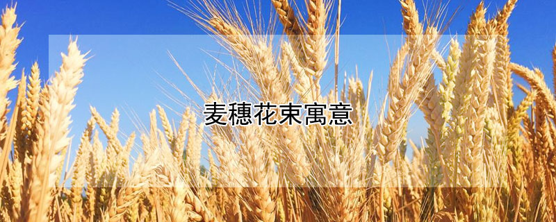 뻨ԢЩ
