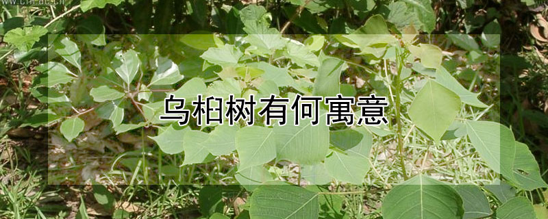 ʲôԢ⣿ʺ͸ʲôˣ