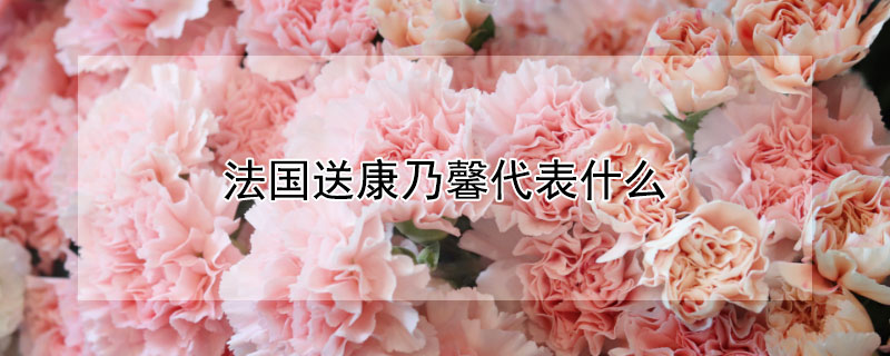 Ϳܰʲô˼ͿܰЩ壩