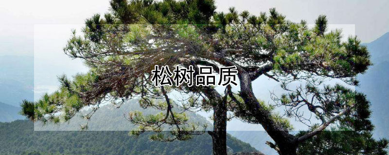 ƷʣЩ壿