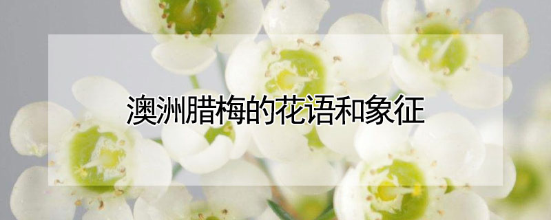 ÷Ļ÷Ԣ⣩