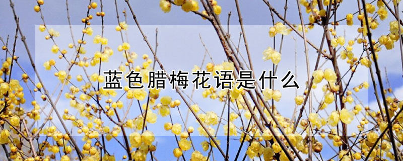 ɫ÷ʲôɫ÷Ԣʲô
