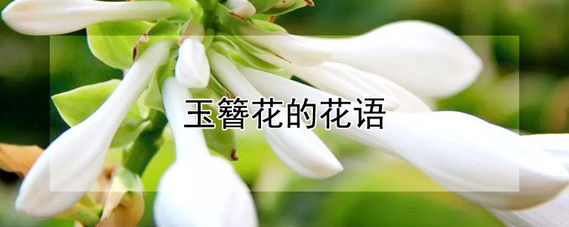 Ļʲô˼͸ʲôˣ