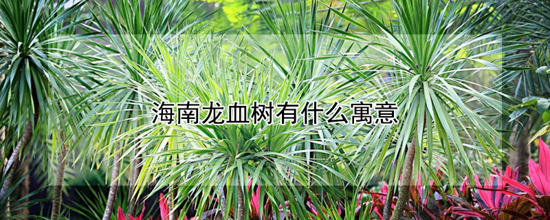 ѪЩԢ⣿