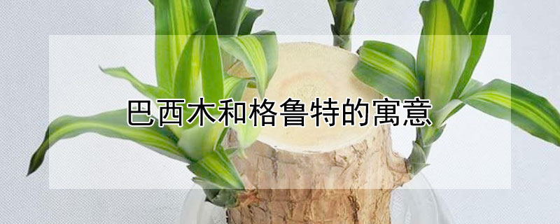 ľ͸³صԢʲô͸ʲôˣ