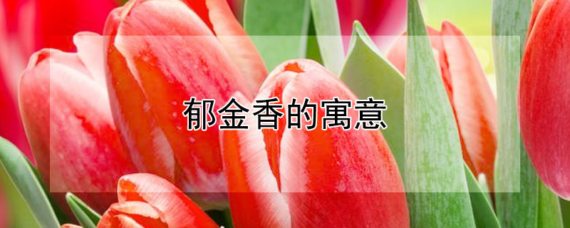 ʲôԢ⣿ʺ͸ʲôˣ